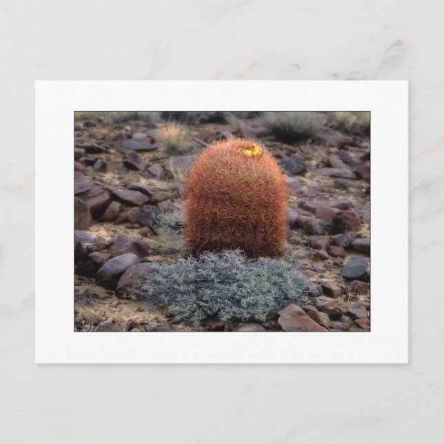 "Tum upp ", Vykort (Framsida)