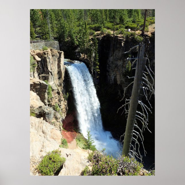Tumalo Falls, ELLER Poster (Framsidan)
