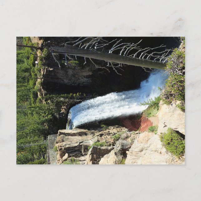 Tumalo Falls, ELLER Vykort (Framsida)