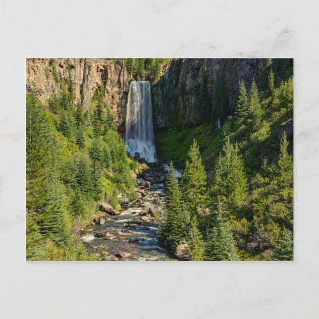 Tumalo Falls-vykort Vykort (Framsida)