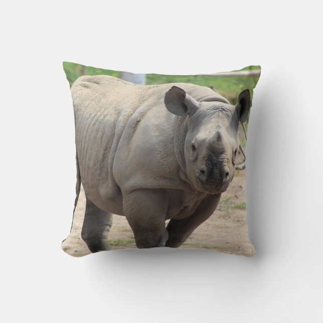 Tumani Kudde (Framsida)