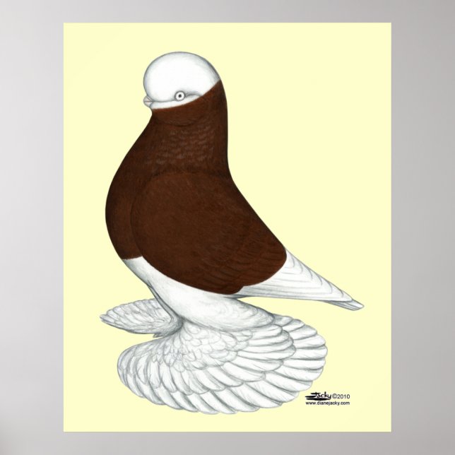 Tumbler: Muffed Red Bald Poster (Framsidan)