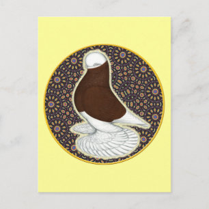 Tumbler Pigeon Circle Vykort