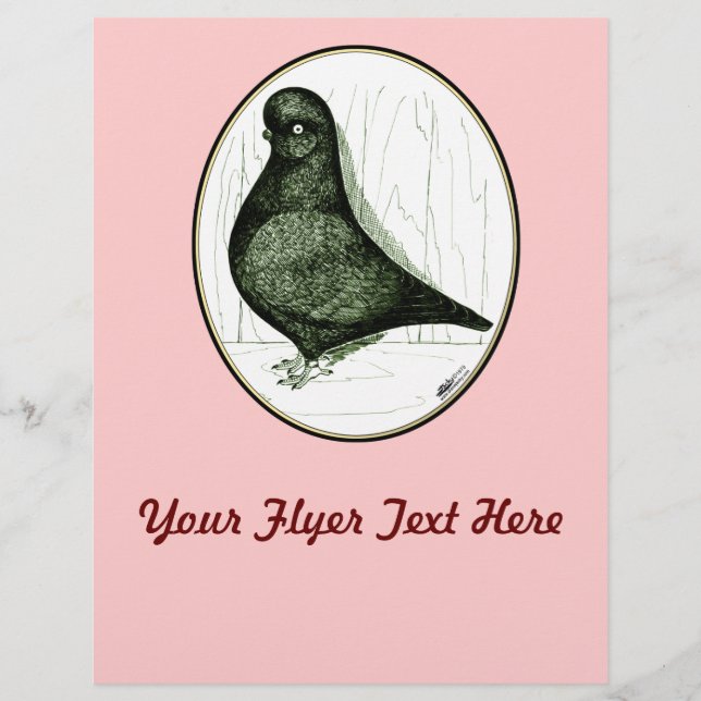 Tumbler Pigeon LFCL från 1978 Reklamblad (Framsidan)