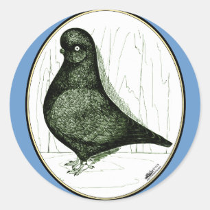 Tumbler Pigeon LFCL från 1978 Runt Klistermärke