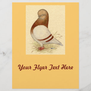 Tumbler Pigeon: LFCL Mealy Reklamblad