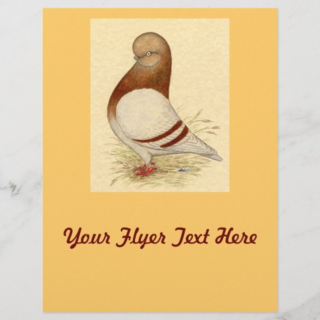 Tumbler Pigeon: LFCL Mealy Reklamblad (Framsidan)