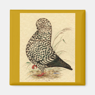 Tumbler Pigeon LFCL Stänk Magnet
