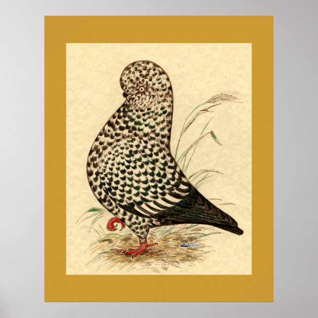 Tumbler Pigeon LFCL Stänk Poster (Framsidan)