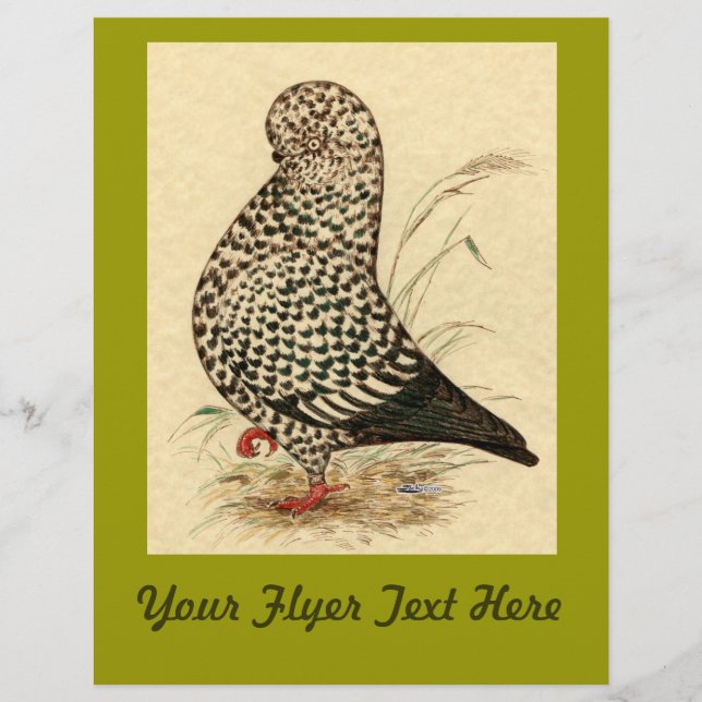 Tumbler Pigeon LFCL Stänk Reklamblad (Framsidan)