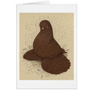 Tumbler Pigeon Muffed Red Hälsningskort