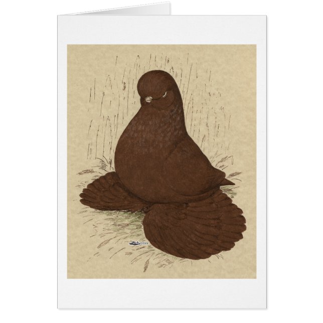 Tumbler Pigeon Muffed Red Hälsningskort (Framsidan)