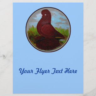 Tumbler Pigeon Red Muff Reklamblad