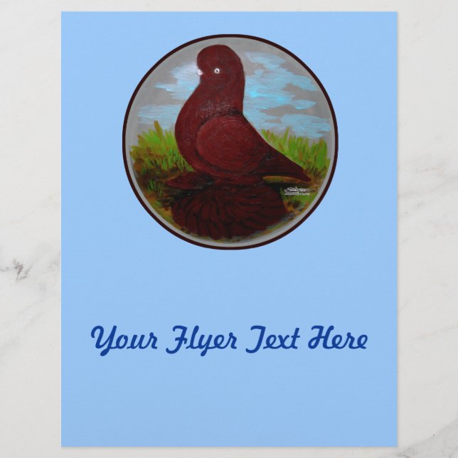 Tumbler Pigeon Red Muff Reklamblad (Framsidan)