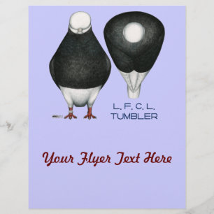 Tumbler Pigeon Standard Black Bald Reklamblad