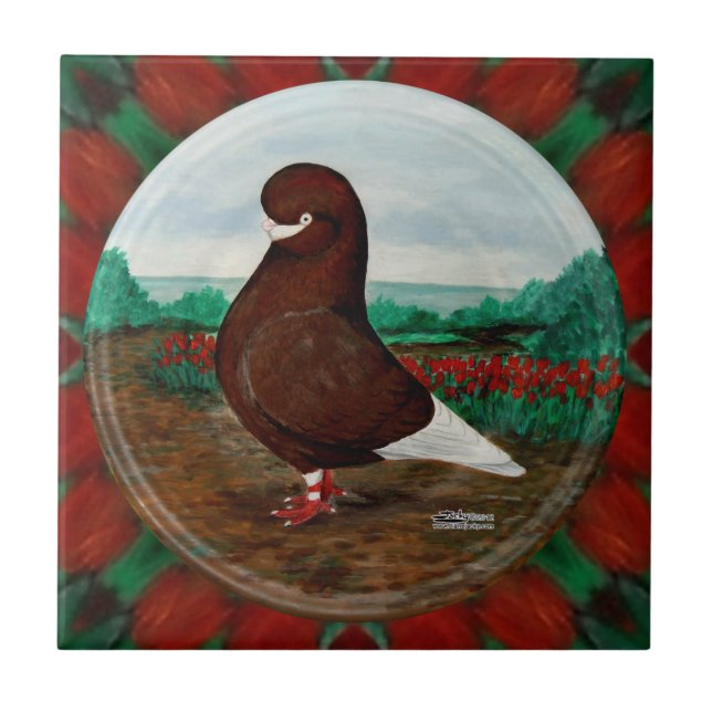 Tumbler Red Beard Pigeon Kakelplatta (Framsidan)