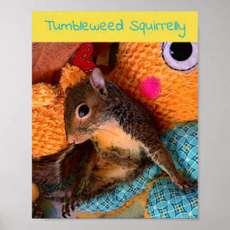 Tumbleweed-poster Poster