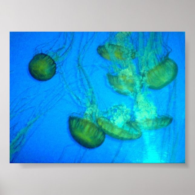 Tumbling Jellies Poster (Framsidan)