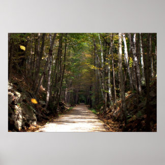 Tumbling Lövs Poster