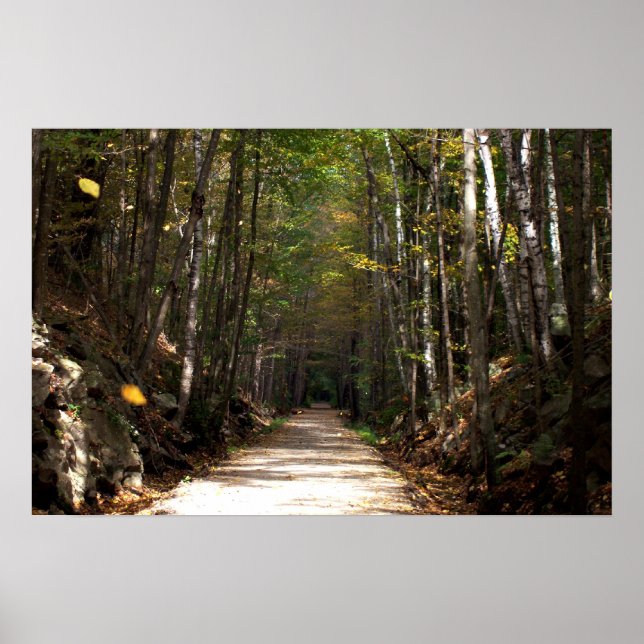 Tumbling Lövs Poster (Framsidan)