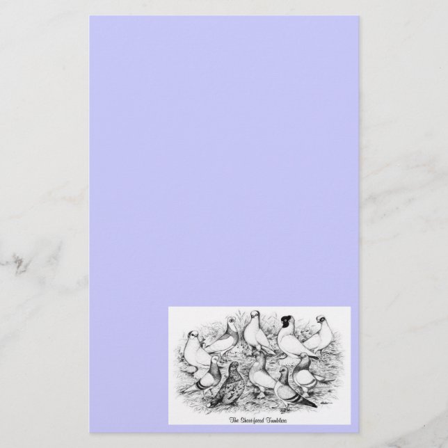 Tumlare Pigeons från Kort (Framsida)