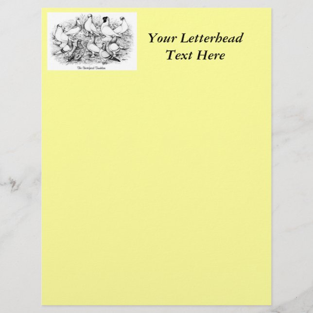 Tumlare Pigeons från Kort (Framsida)