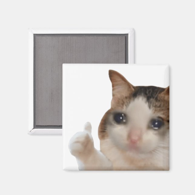 Tummen Upp Ok Katt Meme Magnet (Front/Back)