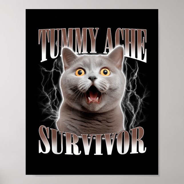 Tummy Ache Survivor Cat Meme Funny Quote Sayed Ca Poster (Framsidan)