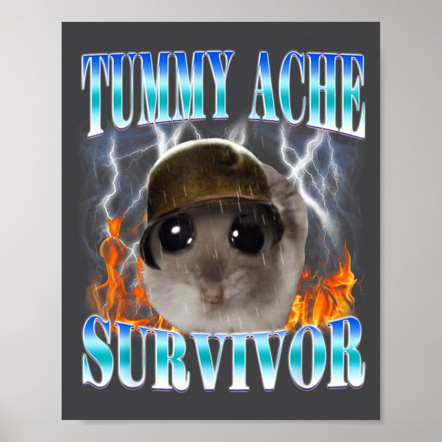 Tummy Ache Survivor Hamster Meme Funny Saying Hams Poster (Framsidan)