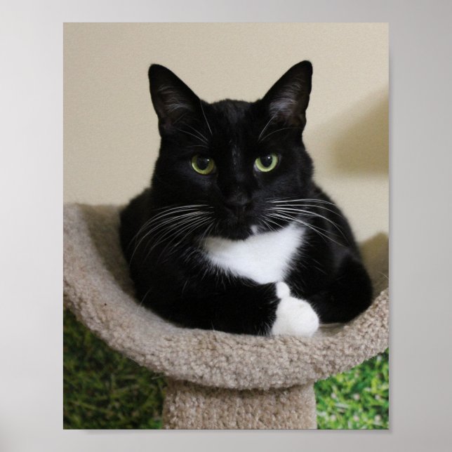 Tumpar upp poster (Framsidan)