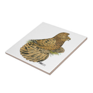 Tumpeter Pigeon Almond Kakelplatta