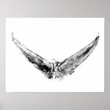 Tuna Svan Impression Art