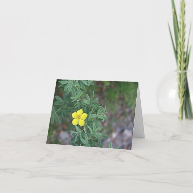 Tundra Rose - 4" x 5.6" Notecard Helgkort (Framsida)