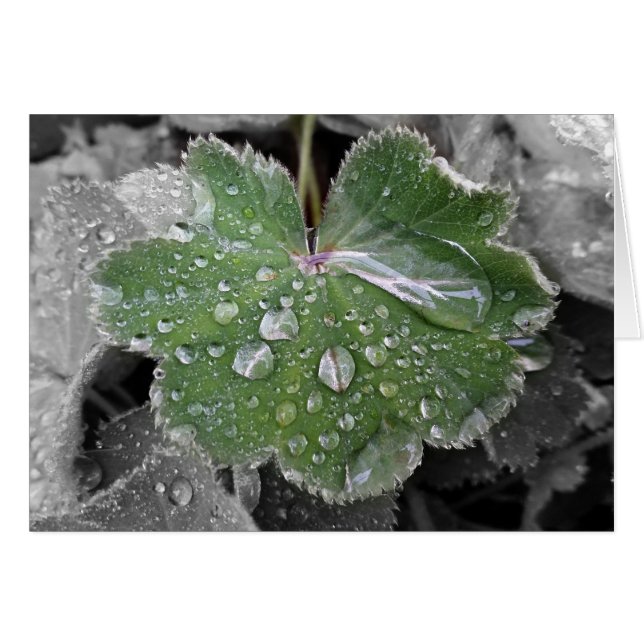 tung regn hälsningskort (Framsidan Horizontal)