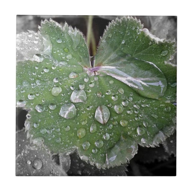 tung regn kakelplatta (Framsidan)