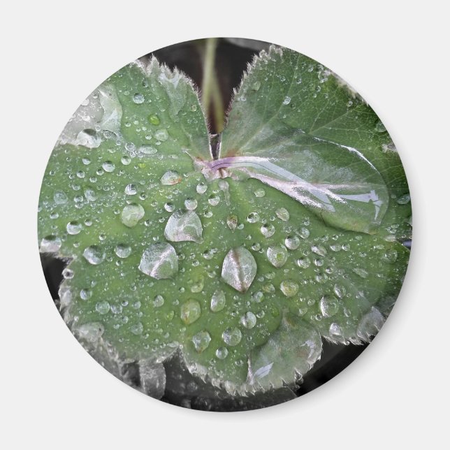 tung regn magnet (Framsidan)