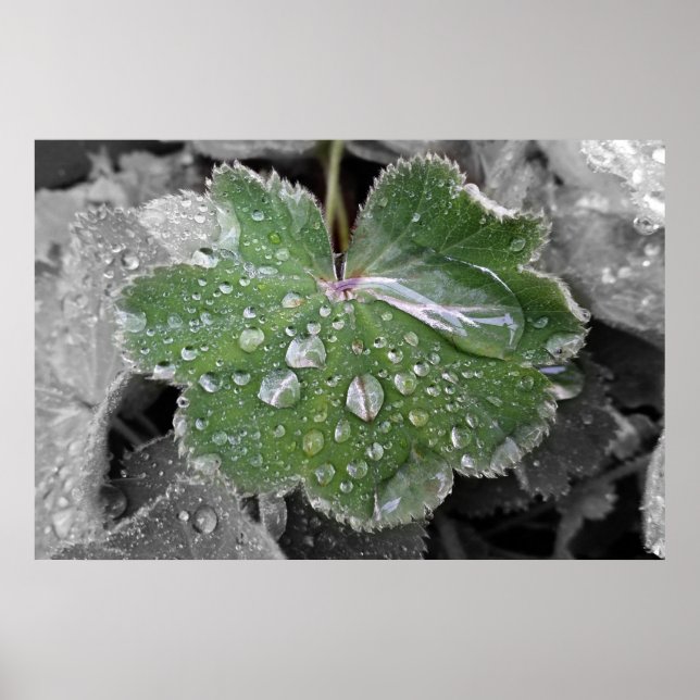 tung regn poster (Framsidan)