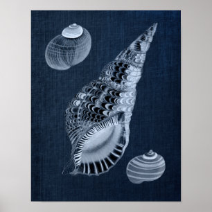 Tunga blått väggsväggsdekorationsskal Skriv ut nr Poster