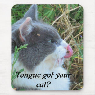 Tunga har din katt? musmatta