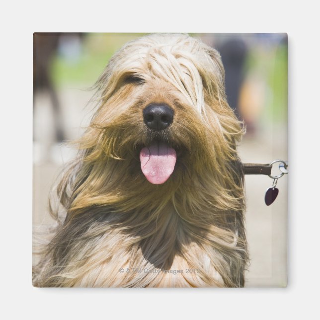 tunga, långa hår, porträtt magnet (Framsidan)