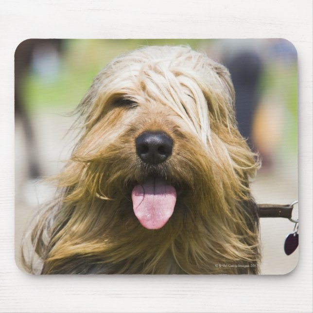 tunga, långa hår, porträtt musmatta (Framsidan)