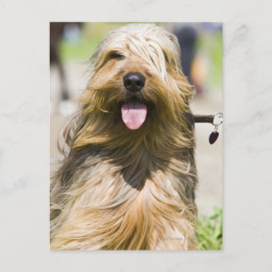 tunga, långa hår, porträtt vykort