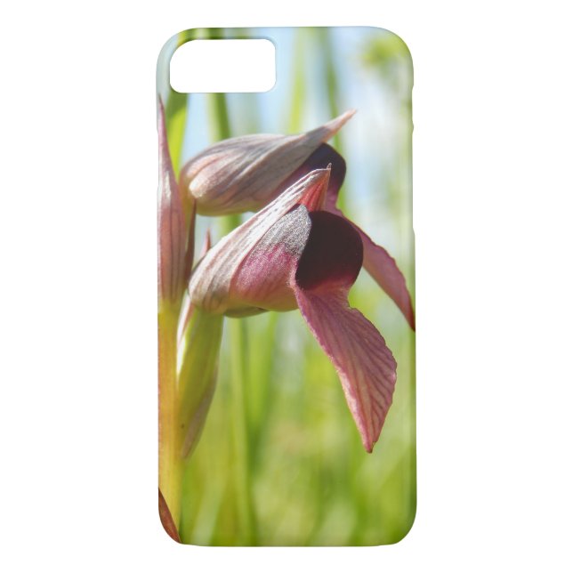 Tunga Orchid iphone case Case-Mate iPhone Skal (Baksida)