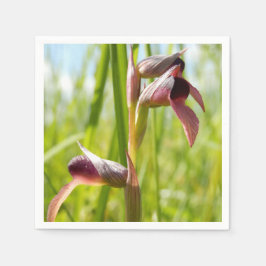 Tunga Orchid Pappra blöjor Pappersservett