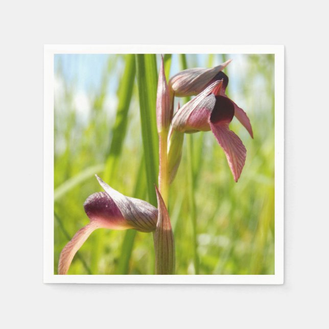 Tunga Orchid Pappra blöjor Pappersservett (Framsidan)