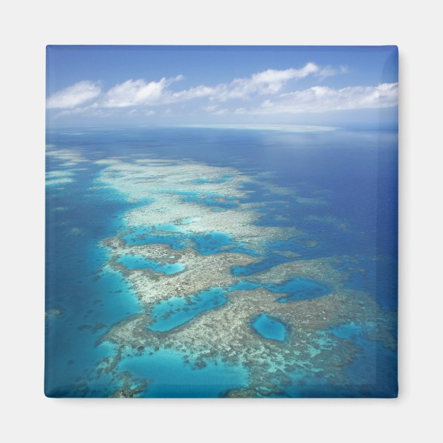Tunga Reef, Underbar Barrier Reef Marine Park Magnet (Framsidan)