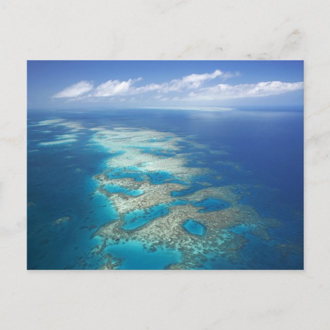 Tunga Reef, Underbar Barrier Reef Marine Park Vykort (Framsida)