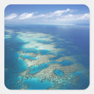 Tunga revet, Great Barrier Reef Marine Park, Fyrkantigt Klistermärke