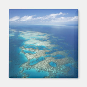 Tunga revet, Great Barrier Reef Marine Park, Magnet