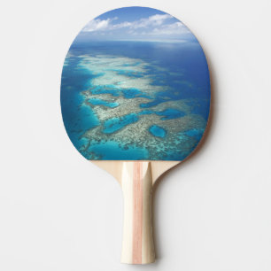Tunga revet, Great Barrier Reef Marine Park, Pingisracket